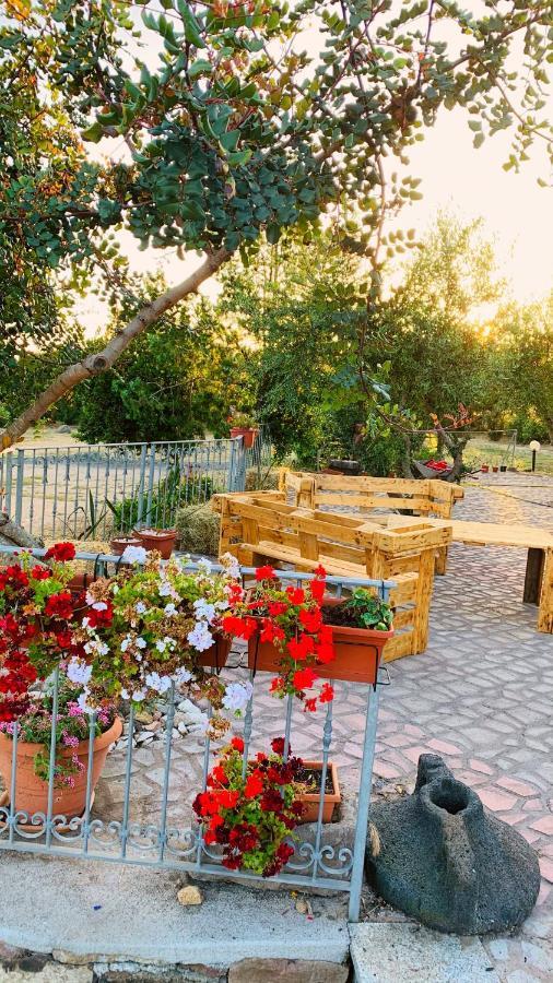 הוילה Samugheo Agriturismo Da Lino Agripizza מראה חיצוני תמונה